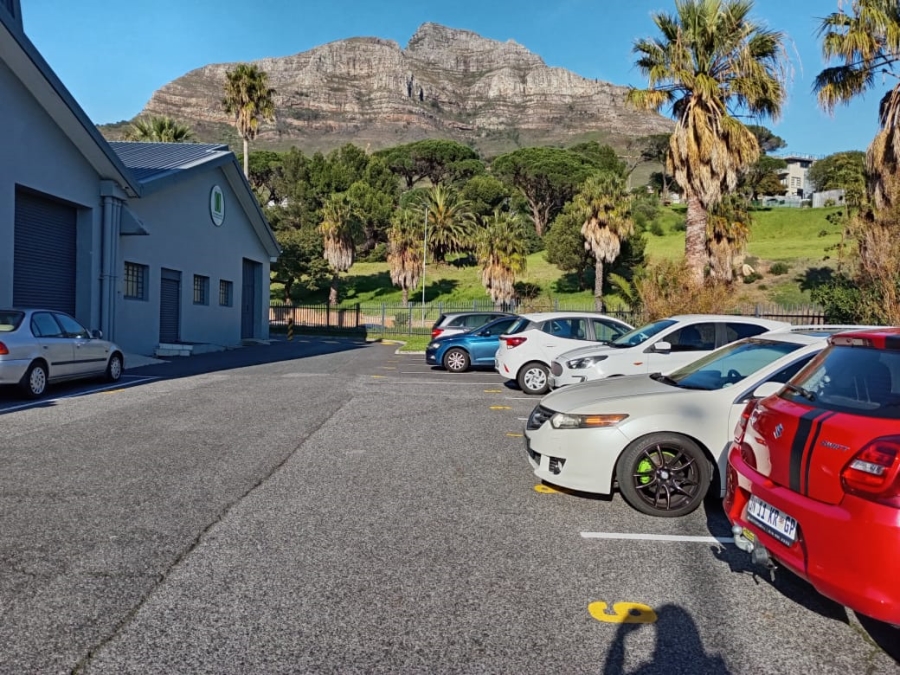 To Let commercial Property for Rent in University Estate Western Cape